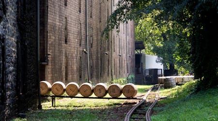 Visita y degustación de la destilería privada de licores de San Antonio